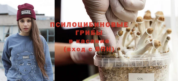 сатива Сясьстрой