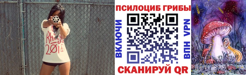 Галлюциногенные грибы GOLDEN TEACHER  Купить где  Чкаловск 